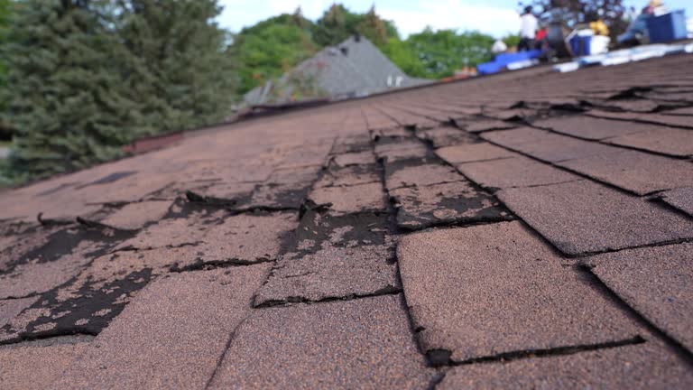 Best Chimney Flashing Repair  in Pine Valley, CA
