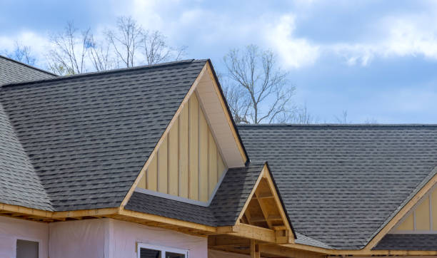 Best Roof Ventilation Installation  in Pine Valley, CA